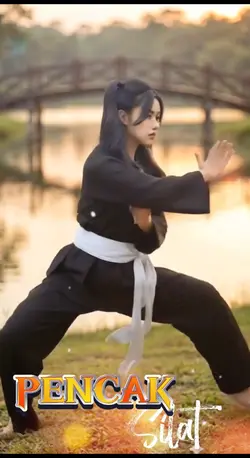 Pencak silat 3
