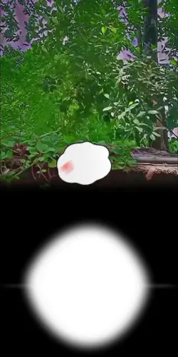 জামালপুরের ছেলে 