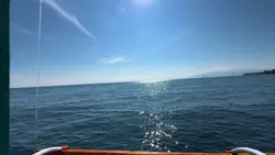 Summer Vacation