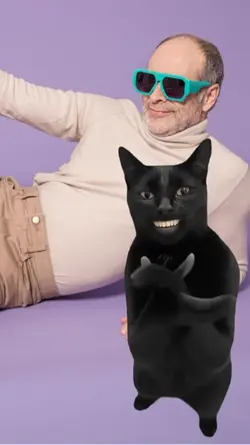 Cat Clap