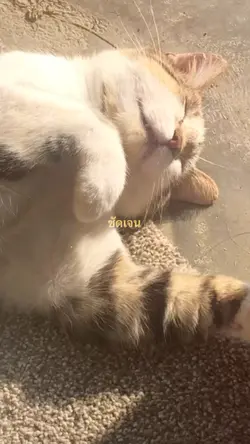 ชัดเจน 🫶🏻🫶🏻