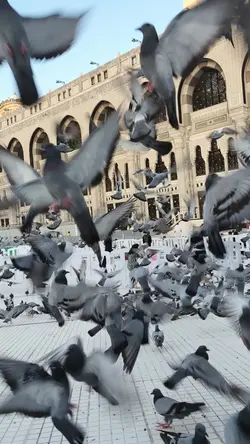 ARABIC TREND MAKKAH