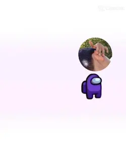 amogus