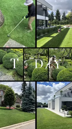 Gardening