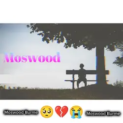 Story of Moswood 