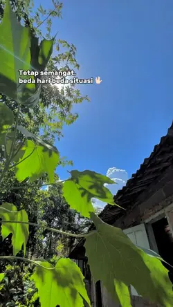Bahan Story HD