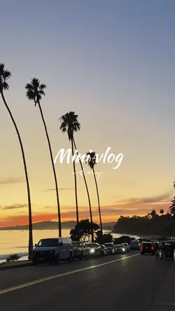 Mini vlog
