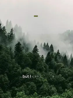 Tree plant