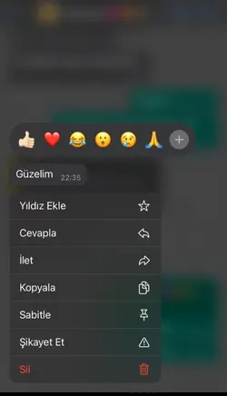 kaçırayım mı seni?