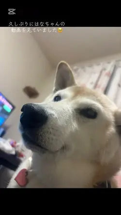 グラスハート