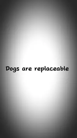 Dog template 💓💓❤️‍🩹
