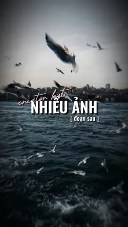 NHIỀU ẢNH 
