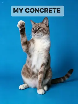 litunpaw 