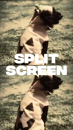 Split Screen Video