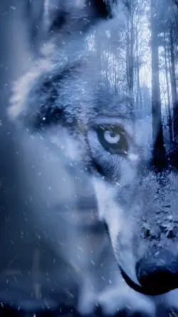 SOUL WOLVES