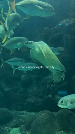 hot summer mid july