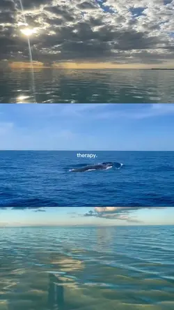 grid video