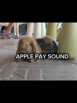 APPLE PAY SOUND