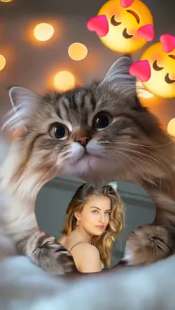 my cat 