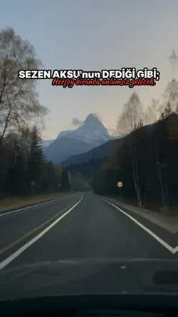 Sezen Aksu