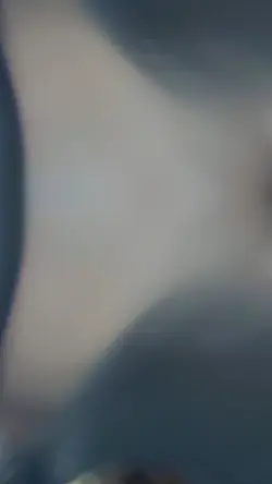 Disco
