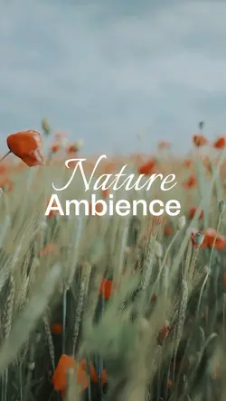 Nature Ambience
