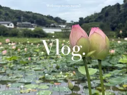 浜ノ浦の棚田