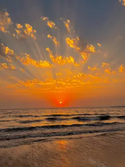 Filter senja