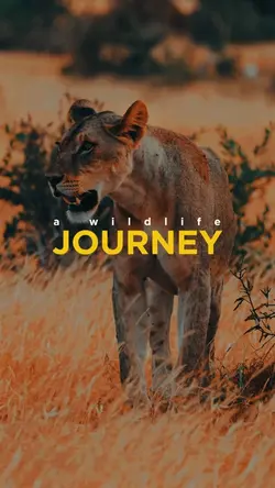 WILDLIFE