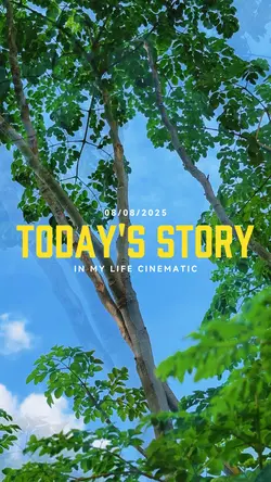 Aesthetic video