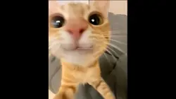 Hehe