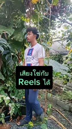 ดนตรีเพราะ