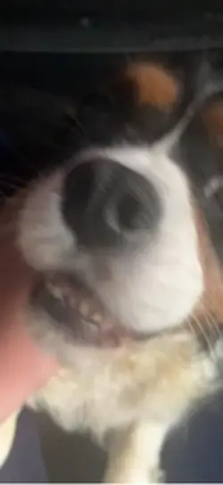 FaceTime pics w A♥️