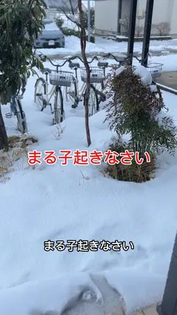 まる子起きなさい