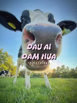Đâu ai dám hứa