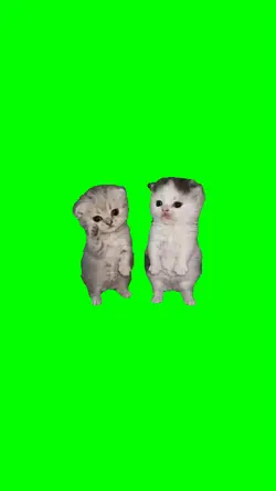 WORK CATS