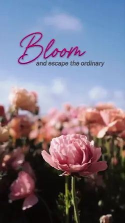 Flower Showcase