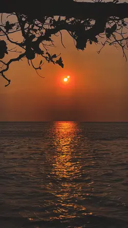 Sunset Template