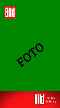 BILD ZEITUNG