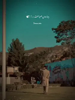 SRK X Jaunelia 