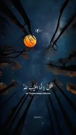 سورة يونس20