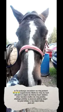 moje wakacje