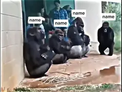 primata lawak