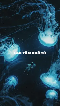 MẪU 2 ẢNH