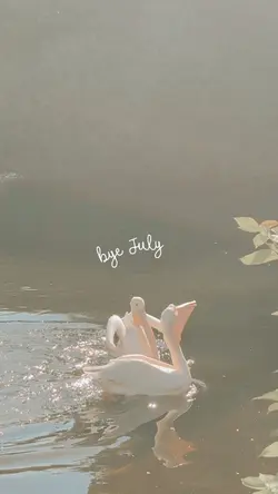 Bye July recap dump