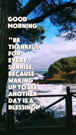 Good morning
