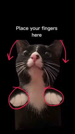 Place your fingers 