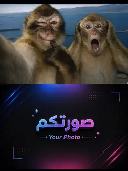birlikte🤪صورتك معى