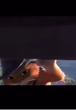 Funny meme