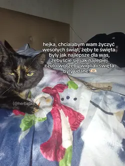 wesołych świąt 
